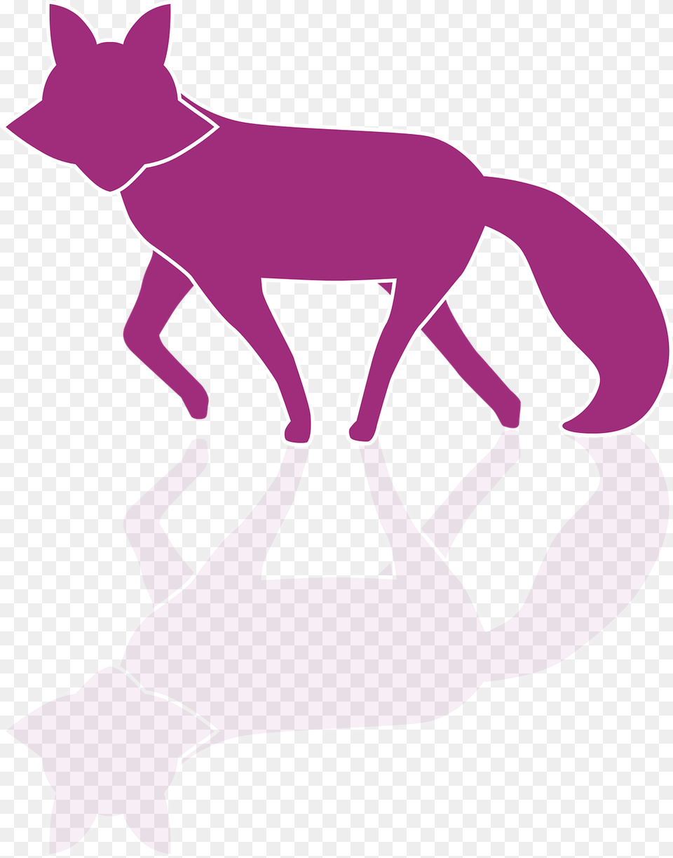 Vector Fox Graphic Design Graphics, Purple, Animal, Kangaroo, Mammal Png Image