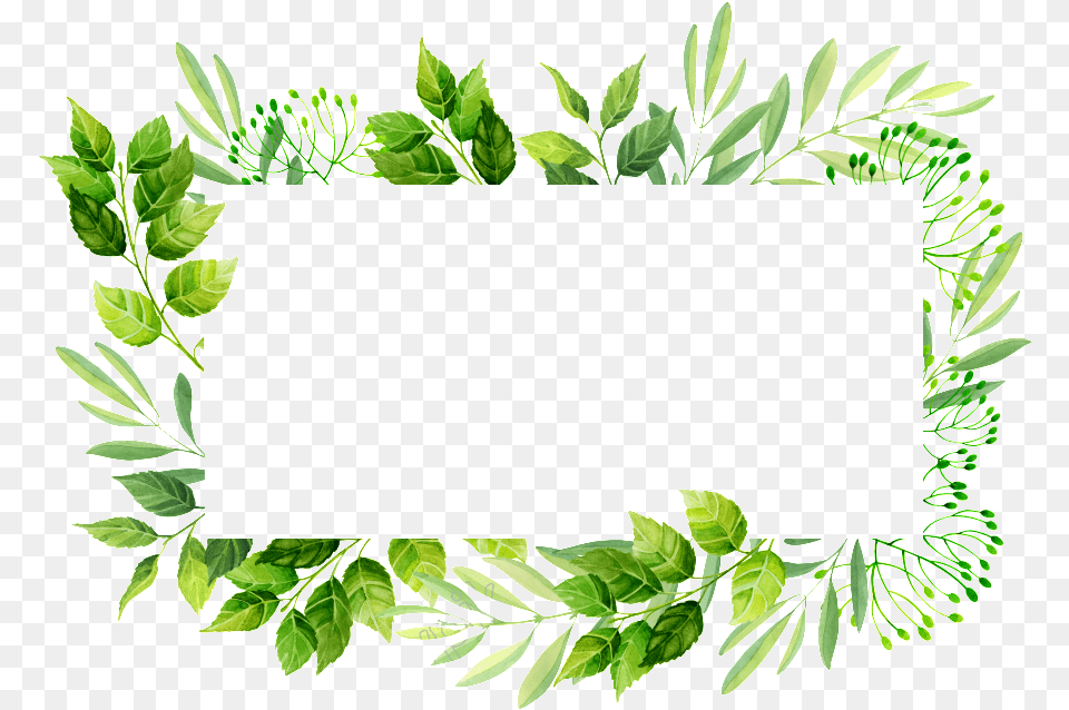Vector Frame Images Leaves Invitation Frame, Herbs, Plant, Leaf, Green Free Transparent Png