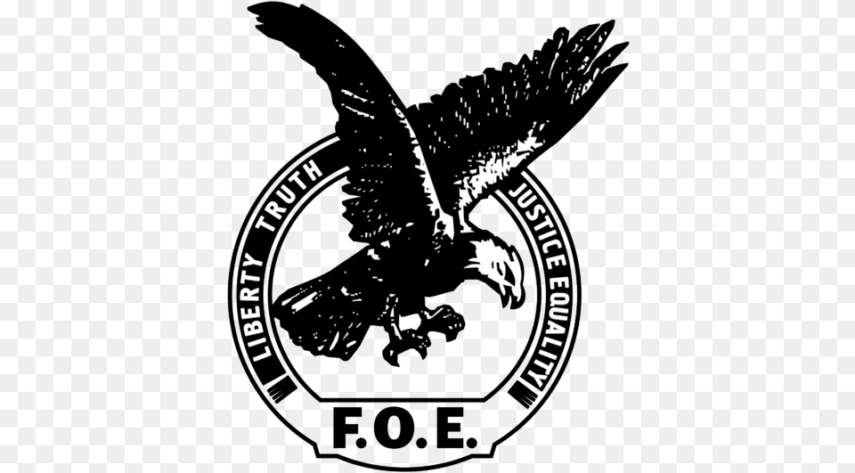 Vector Fraternal Order Of Eagles, Animal, Beak, Bird, Vulture Png Image