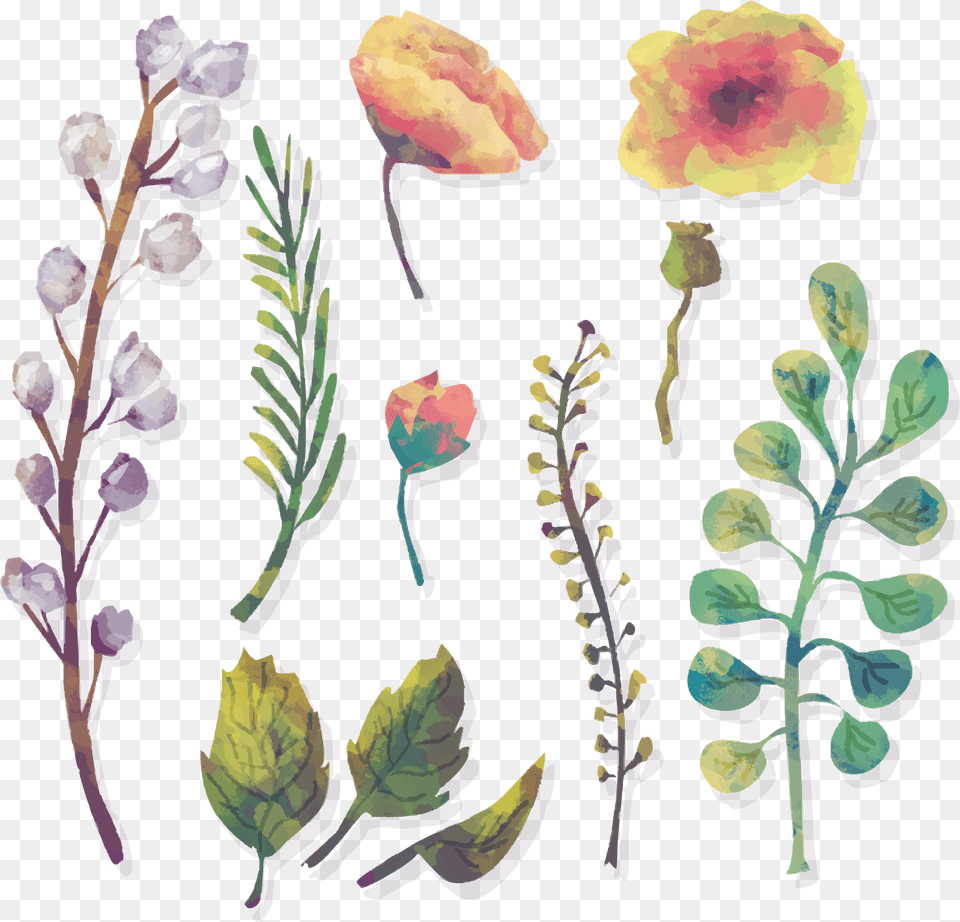 Vector Free Foliage Vector Watercolor Floral Water, Herbs, Flower, Plant, Herbal Png Image
