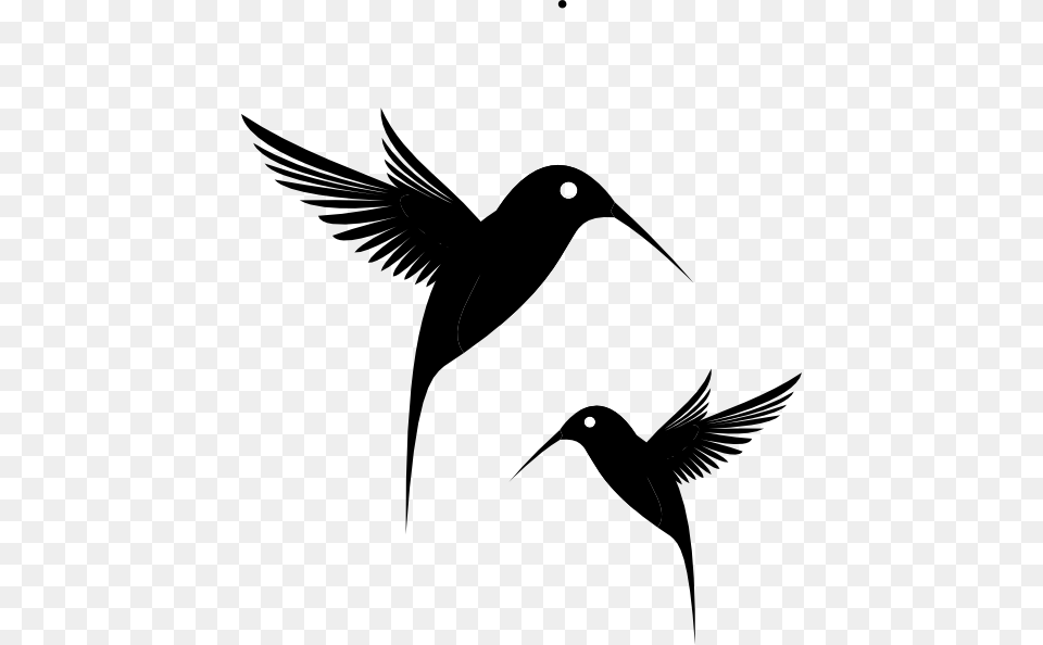 Vector Library Black Humming Bird Clip Art At Black Birds Clip Art, Stencil, Silhouette, Animal, Blackbird Free Png Download