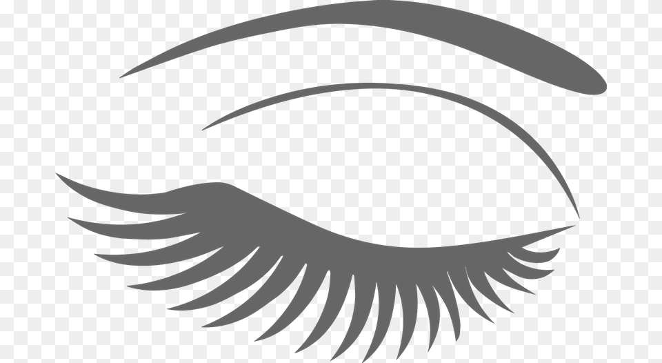 Vector Free Stock Extensions Cosmetics Clip Art Transprent Eyebrow And Lash, Animal, Blade, Dagger, Knife Png Image