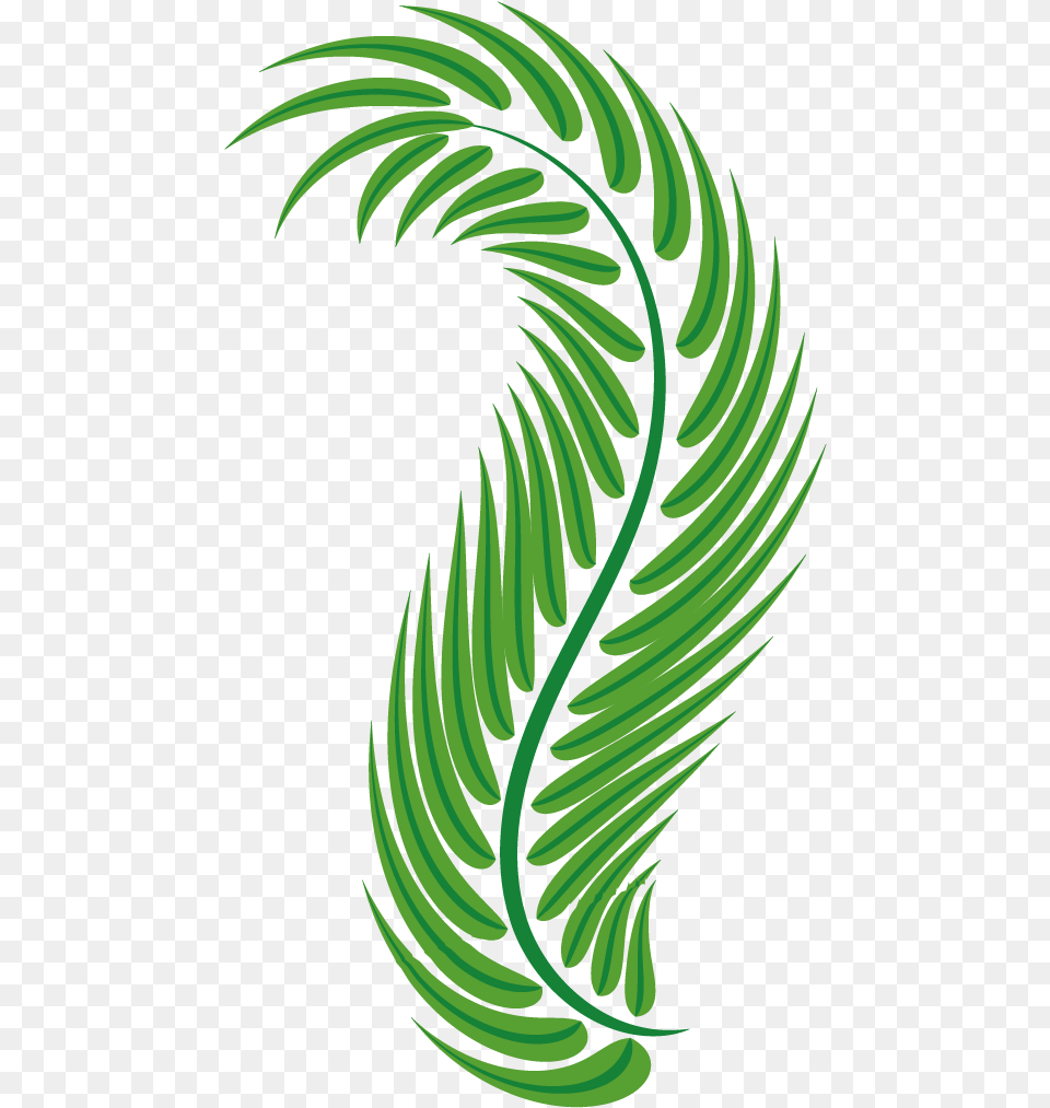 Vector Stock Palm Leaf Green Arecaceae Easter Spiral Easter Leaf Graphic, Pattern, Plant, Fern Free Png