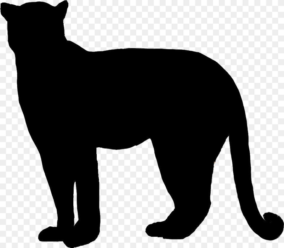 Vector Freeuse Bobcat Clipart Silhouette Cougar Silhouette Transparent Background, Animal, Mammal, Person, Wildlife Png Image