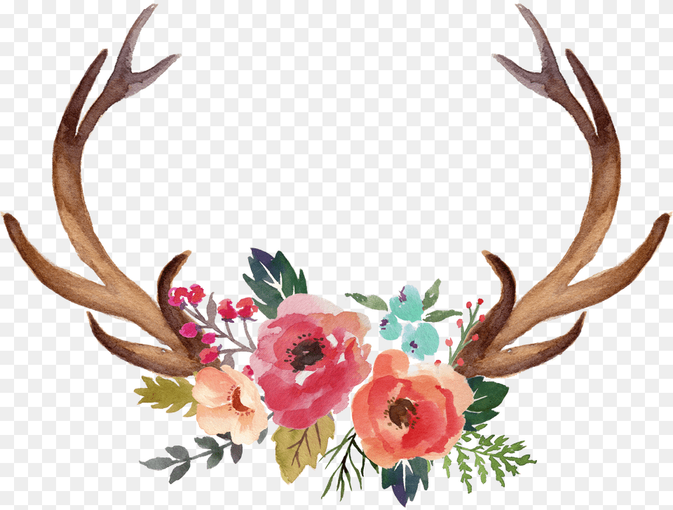 Vector Freeuse Download Deer Antler Moose Flower Clip Free Png