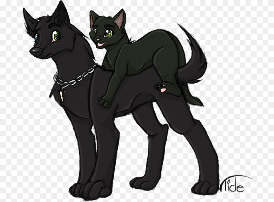 Vector Freeuse Download View Topic Thentsi S Wolf And Black Cat, Animal, Mammal, Pet, Person Free Png