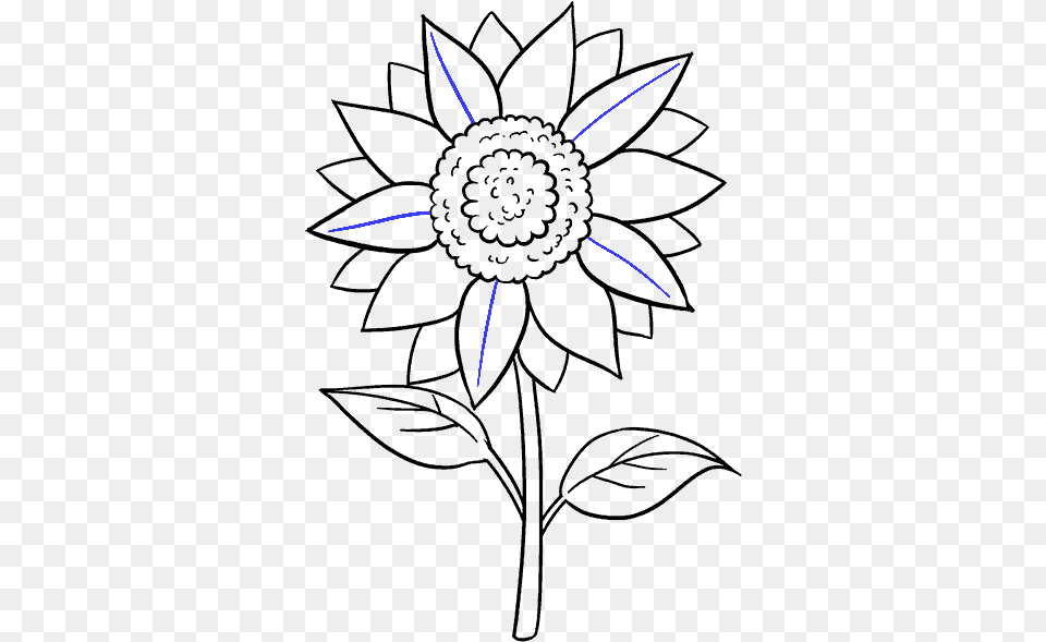 Vector Freeuse How To Draw A Sunflower Easy Step Drawing Pictures Of Sun Flower, Animal, Bee, Insect, Invertebrate Png