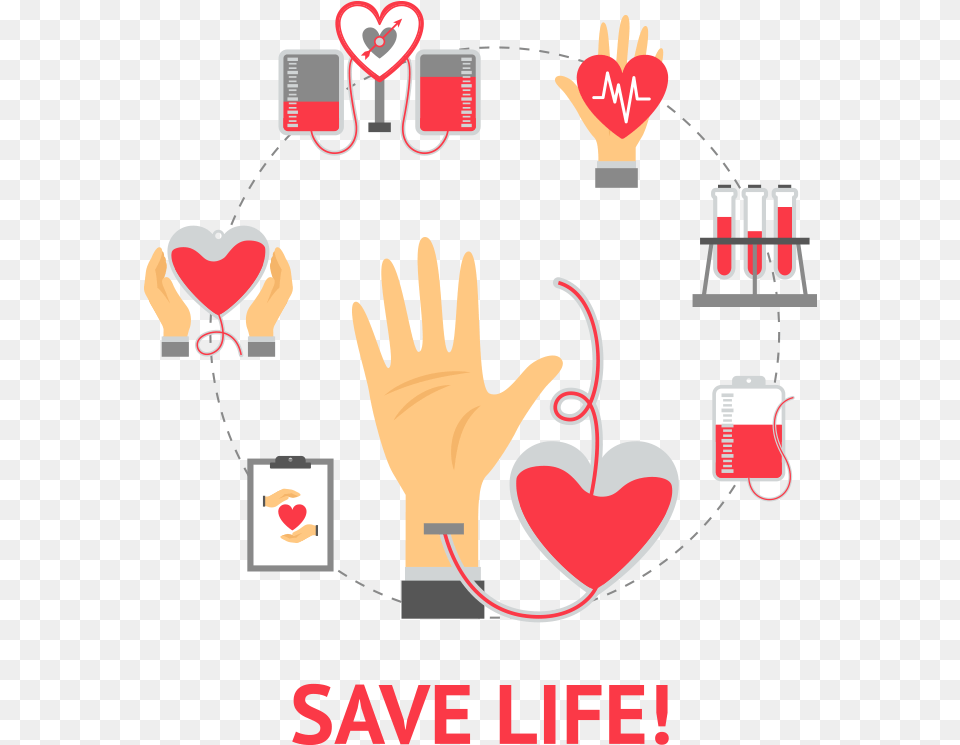 Vector Freeuse Library Organ Web Portal Bowp Blood Donation, Heart, Advertisement, Dynamite, Weapon Free Transparent Png