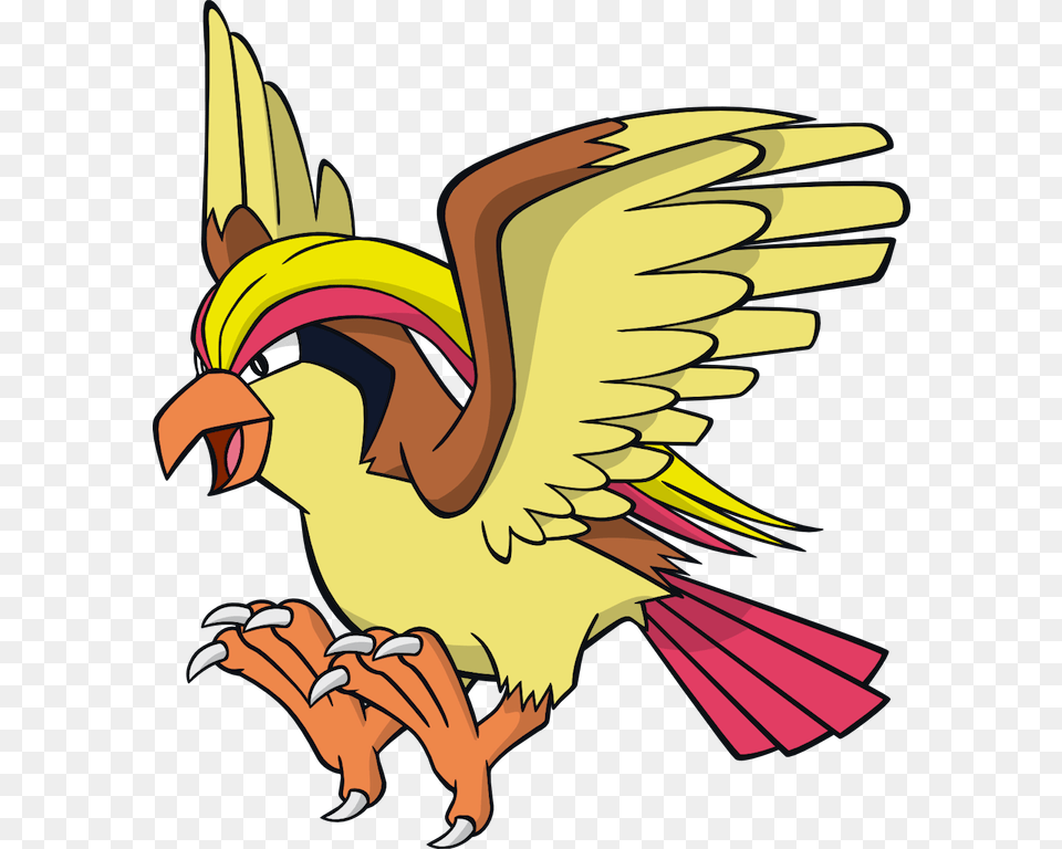 Vector Freeuse Pidgeot Pok Mon Wiki Fandom Powered Pidgeot Pokemon, Animal, Beak, Bird, Baby Free Png Download