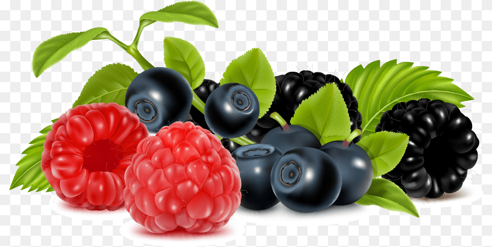 Vector Fruits Berries Berries Clipart, Berry, Blueberry, Food, Fruit Free Png Download