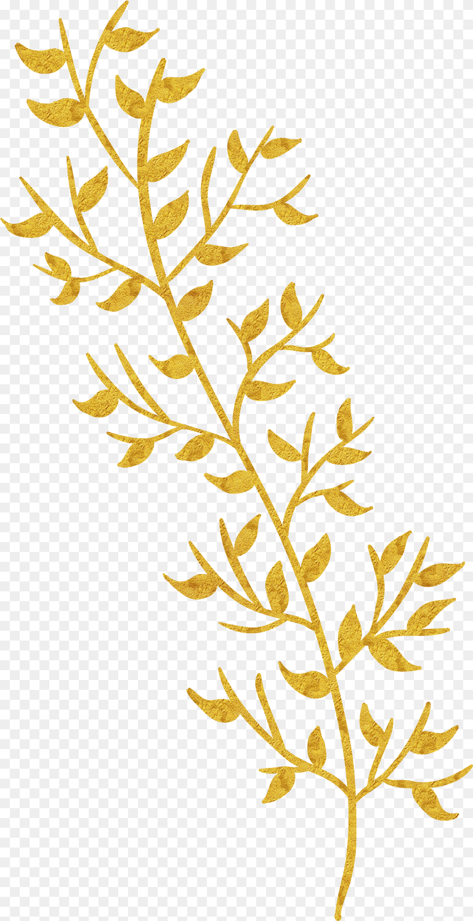 Vector Gold Leaf, Pattern, Plant, Art, Floral Design Free Png