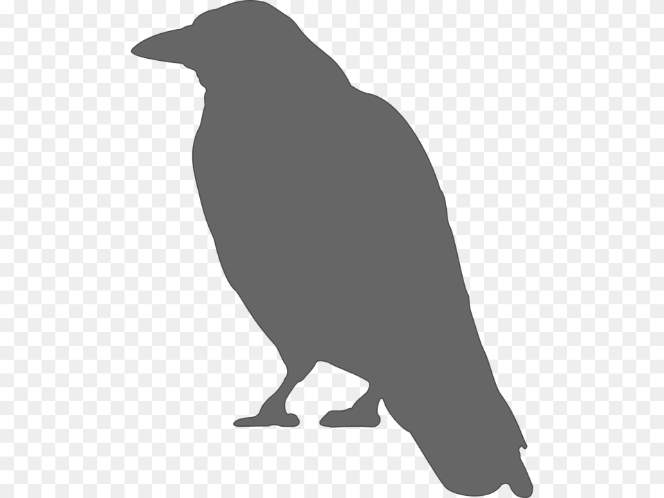 Vector Graphic Crow Silhouette, Animal, Bird, Person Free Png