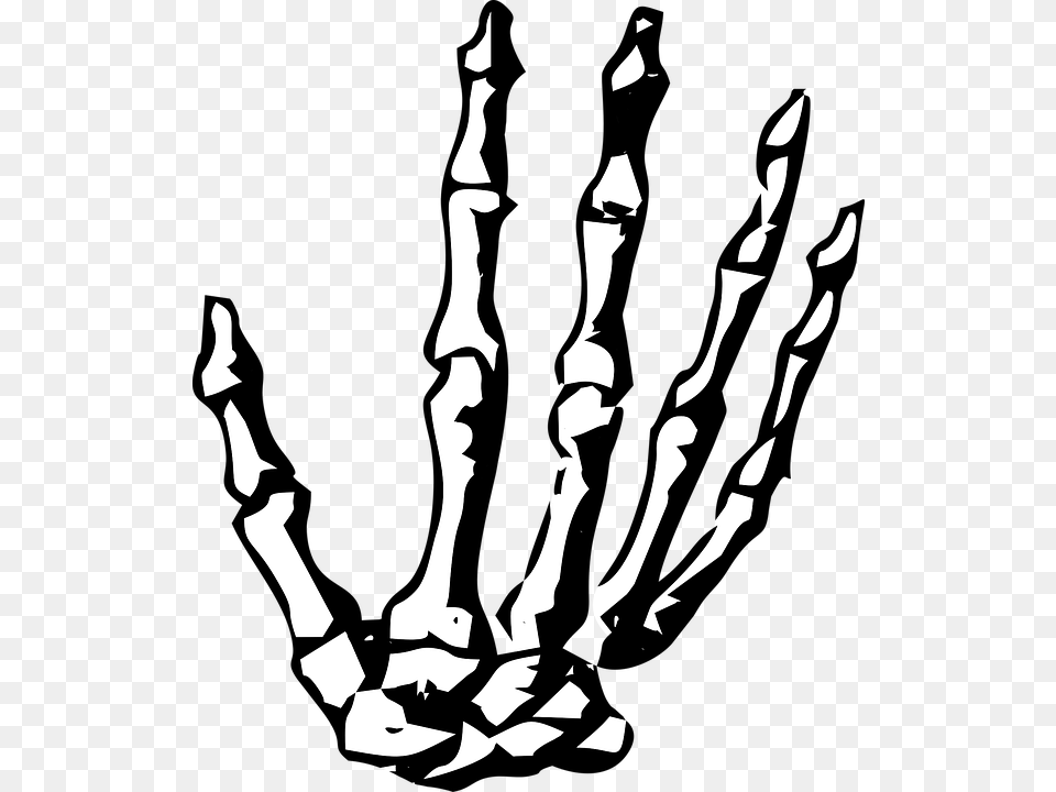 Vector Graphic On Pixabay Skeleton Hand Clipart, Stencil, Electronics, Hardware, Adult Free Png Download