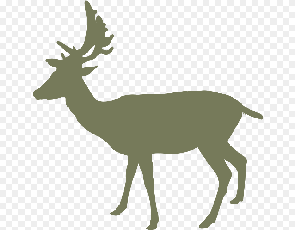 Vector Graphics, Animal, Deer, Mammal, Wildlife Png Image