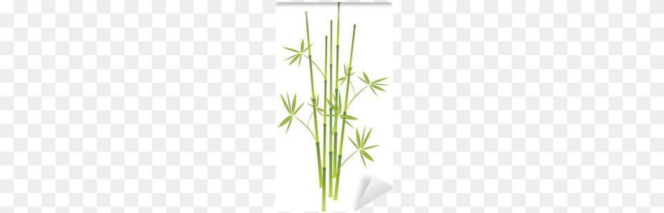 Vector Graphics, Plant, Bamboo Png Image