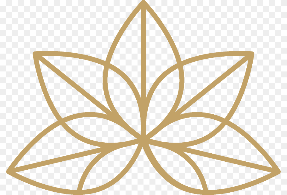 Vector Graphics, Star Symbol, Symbol, Leaf, Plant Free Png