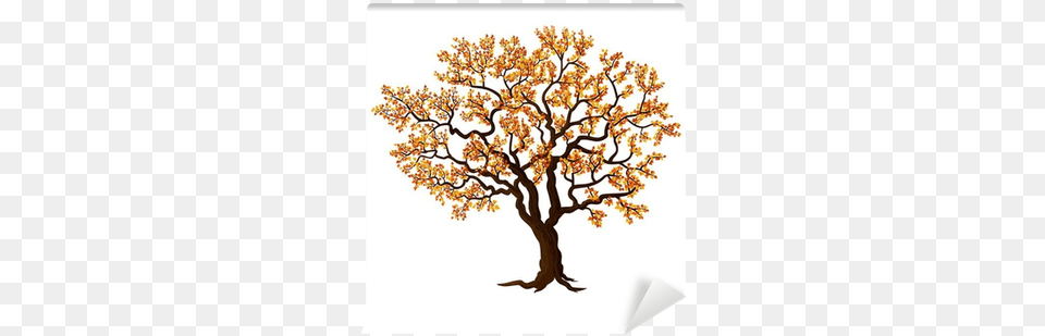 Vector Graphics, Oak, Plant, Tree, Sycamore Free Transparent Png