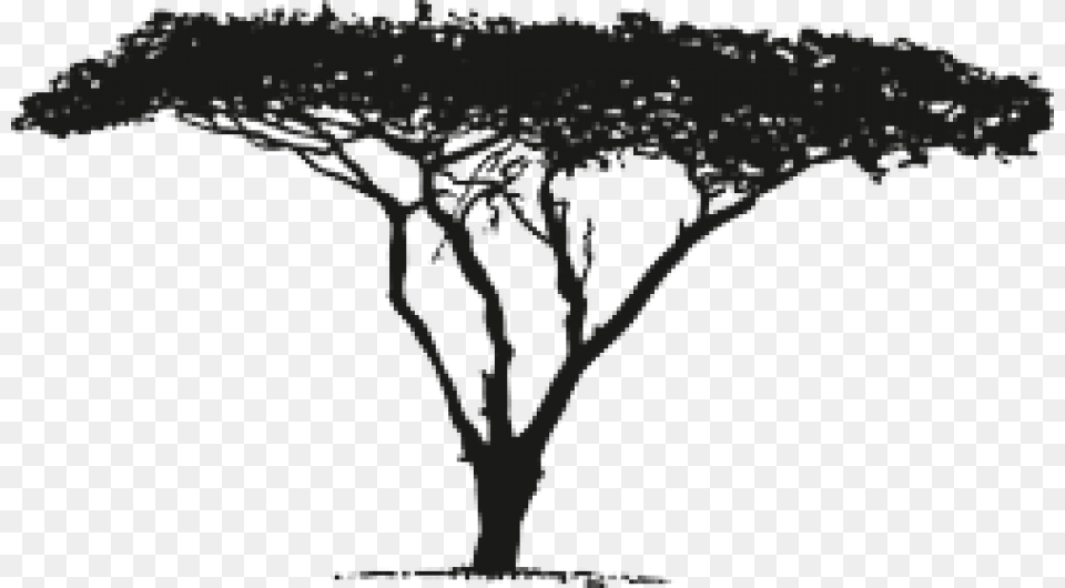 Vector Graphics Africa Image Download Silhouette African Tree Silhouette Vector, Field, Grassland, Nature, Outdoors Png