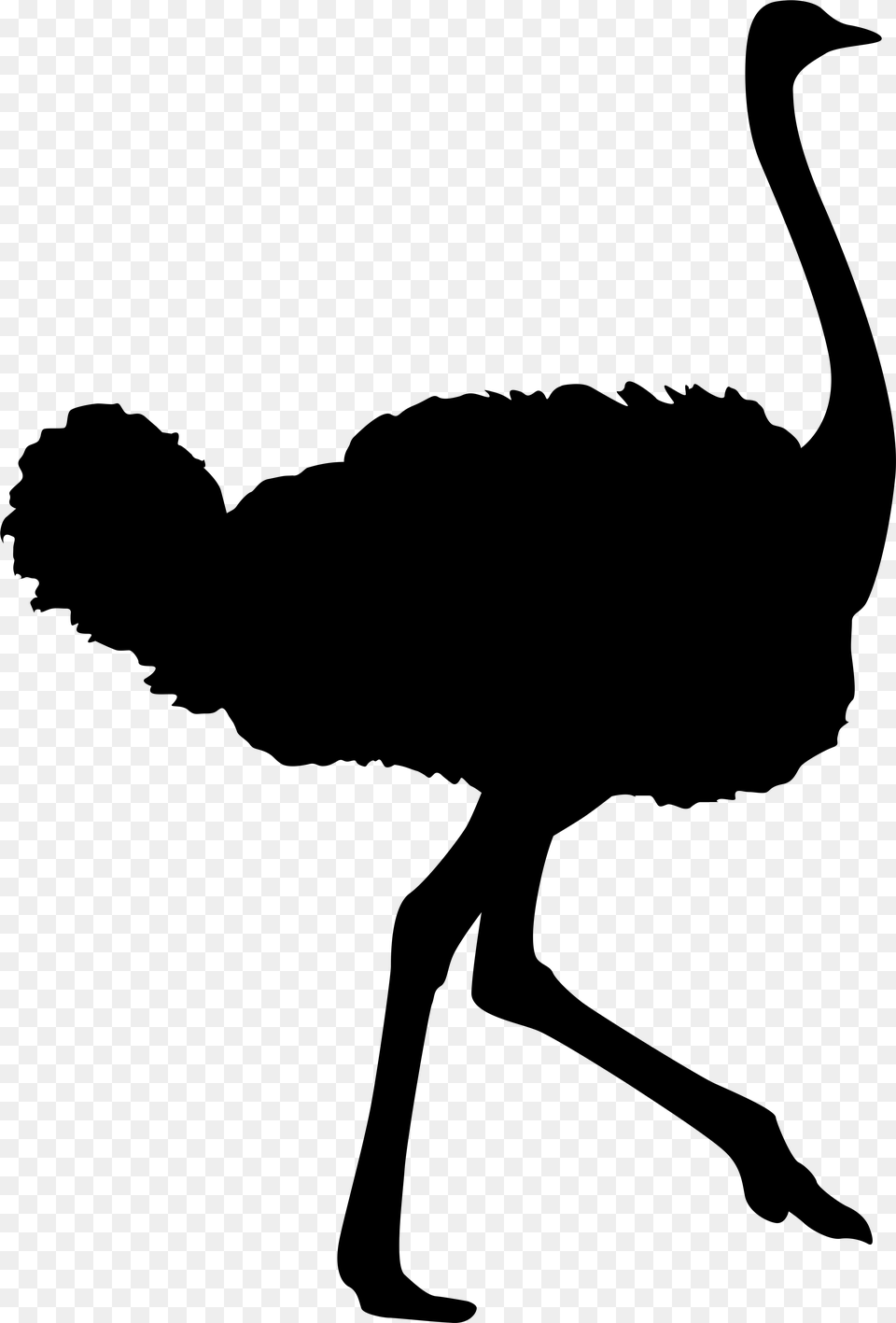 Vector Graphics Animal Silhouettes Clip Art Illustration Ostrich Decal, Gray Png Image