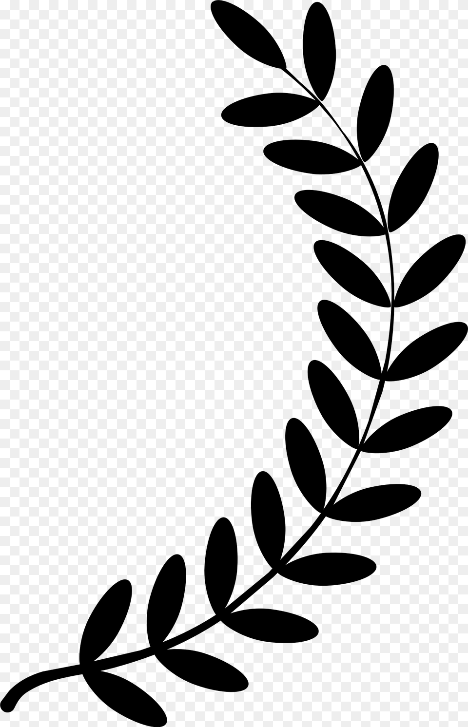 Vector Graphics Clip Art Laurel Wreath Portable Network Olive Branch Clipart, Gray Free Png Download