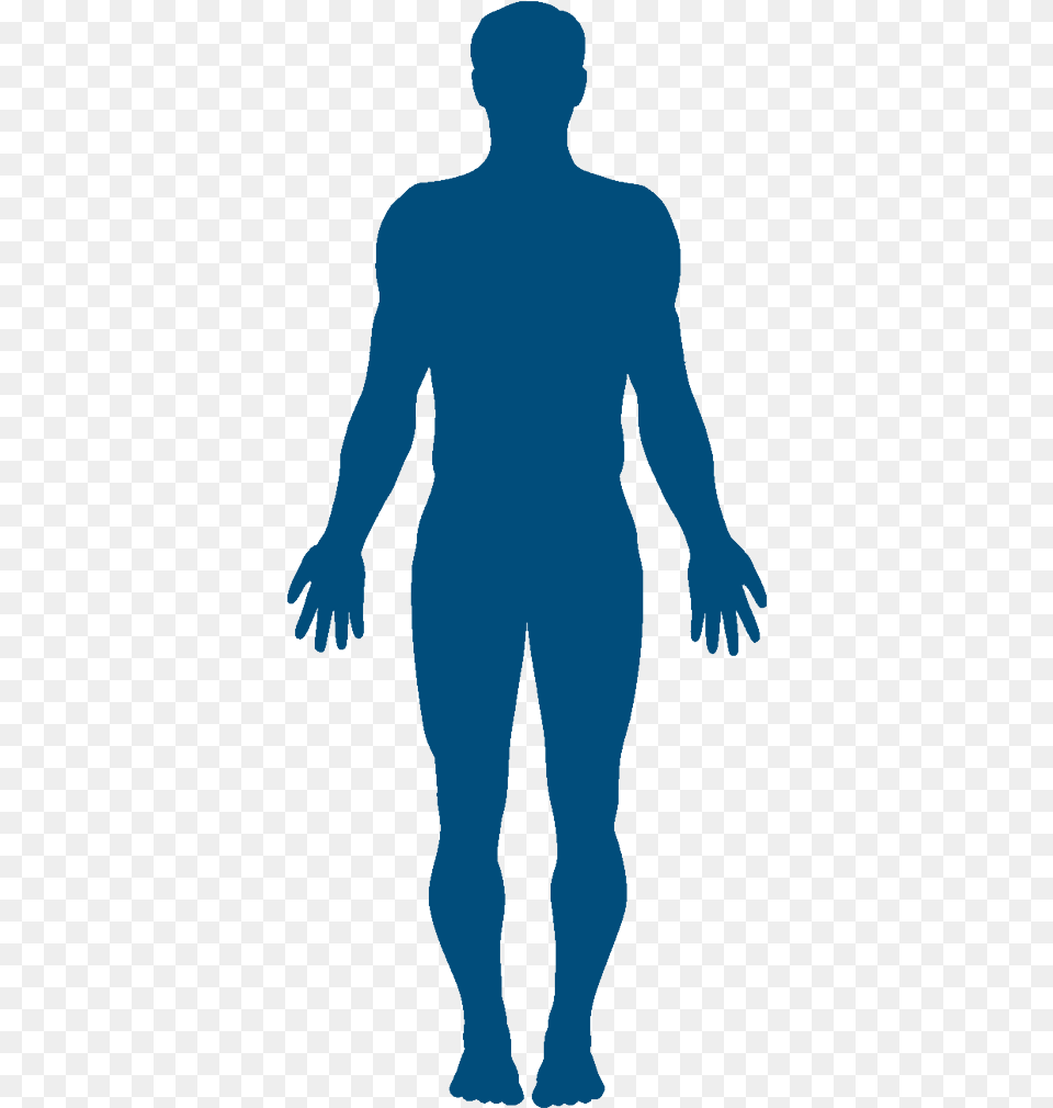 Vector Graphics Clip Art Silhouette Human Body Stock, Adult, Male, Man, Person Free Png