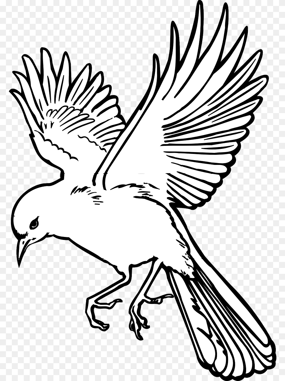 Vector Graphics Flying Bird Line Drawing, Stencil, Person Free Png