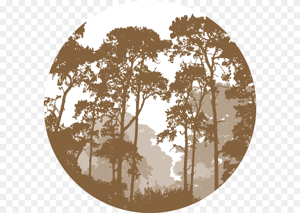 Vector Graphics Illustration Forest Landscape Silhouette Forest Landscape Vector, Weather, Photography, Outdoors, Nature Free Png