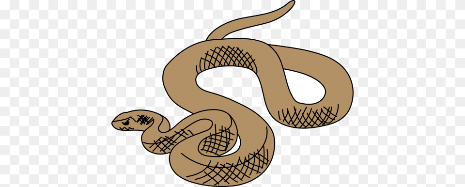 Vector Graphics Illustration Of A Snake, Animal, Reptile Free Transparent Png