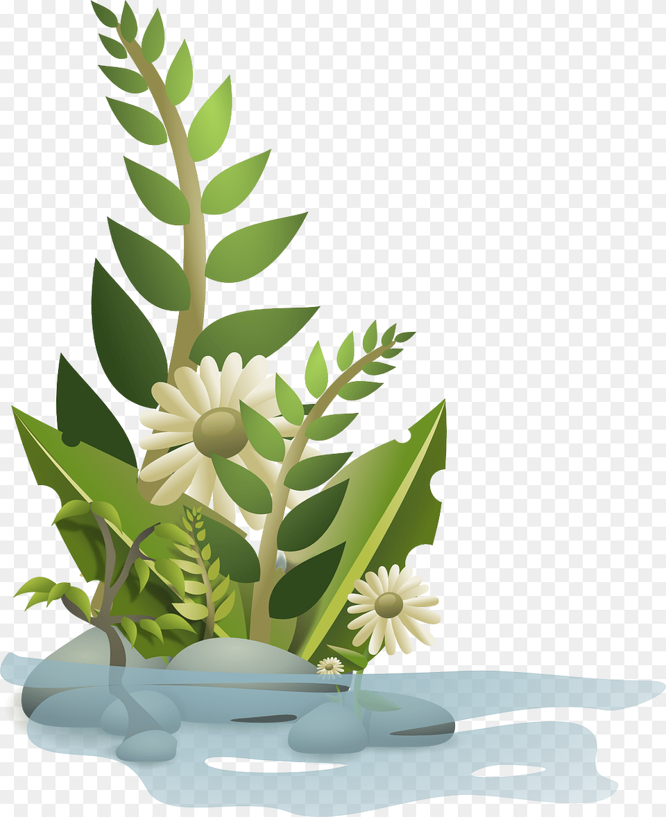 Vector Graphics Of Selection Plants In Water Svg Cartoon Flower Plants, Art, Ikebana, Herbs, Herbal Free Png Download