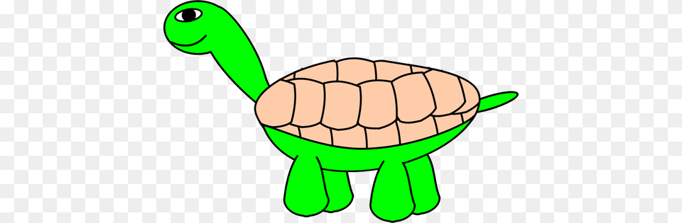 Vector Graphics Of Tortoise With Beige Shell, Animal, Reptile, Sea Life, Turtle Png