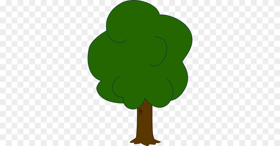 Vector Graphics Of Younger Oak Tree, Green, Leaf, Plant, Outdoors Free Transparent Png