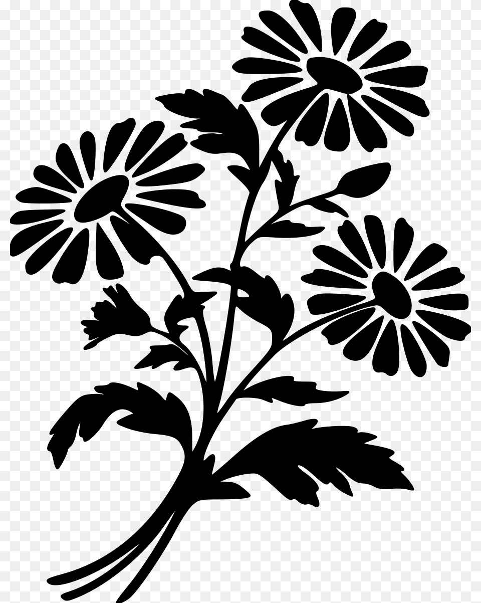 Vector Graphics Silhouette Illustration Flower Chamomile Flower Silhouette, Gray Png Image