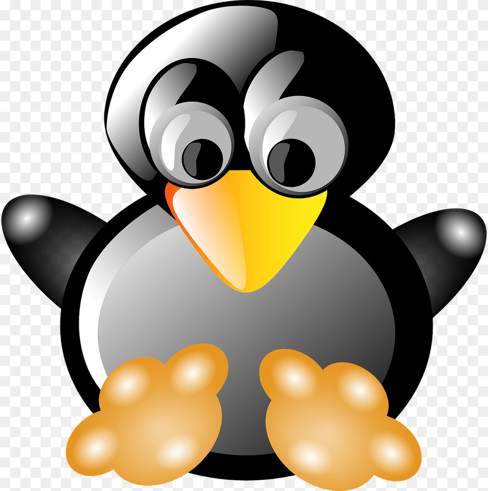 Vector Graphicsfree Pictures 1 Clip Art, Animal, Beak, Bird Png Image