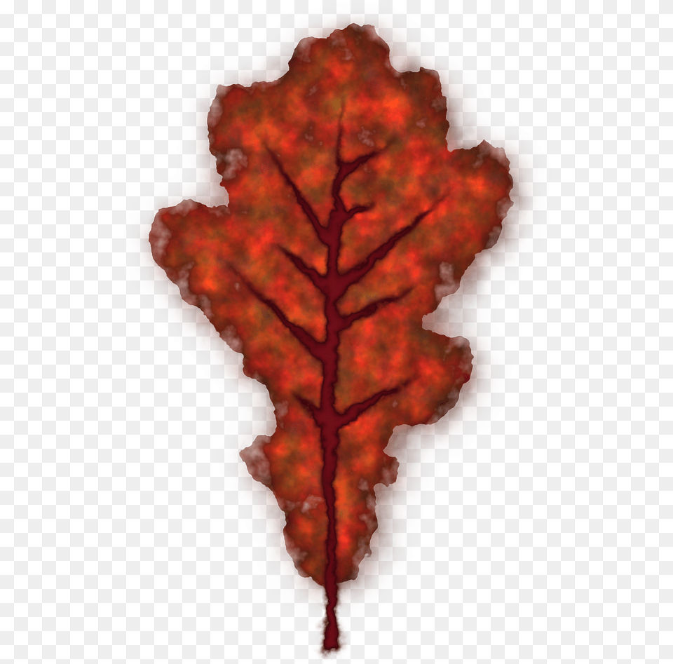 Vector Graphicsfree Pictures Photos Images Smooth Sumac, Leaf, Plant, Accessories, Ornament Png Image