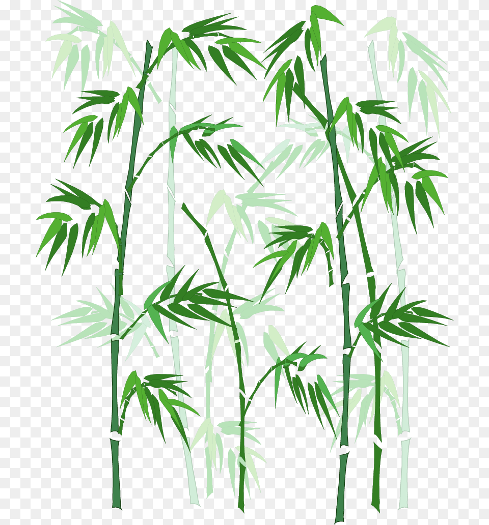Vector Hand Painted Bamboo Download Bamboo In Window Glass, Plant Free Transparent Png