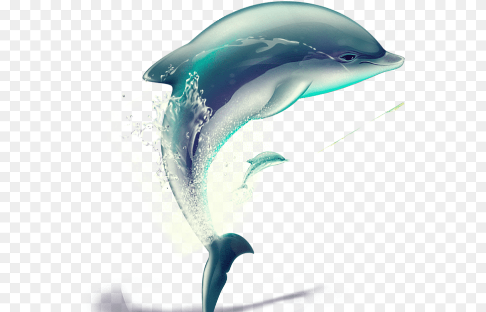 Vector Hand Painted Dolphin Water Animals Images, Animal, Mammal, Sea Life, Fish Free Png Download