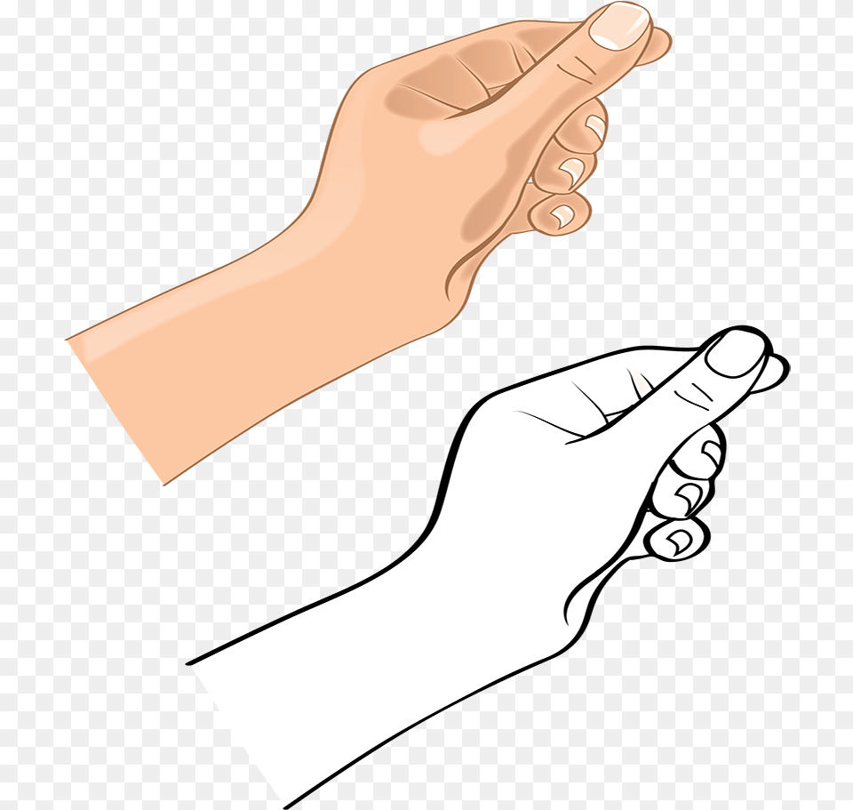 Vector Hand Wrist Hand, Body Part, Finger, Person, Adult Png
