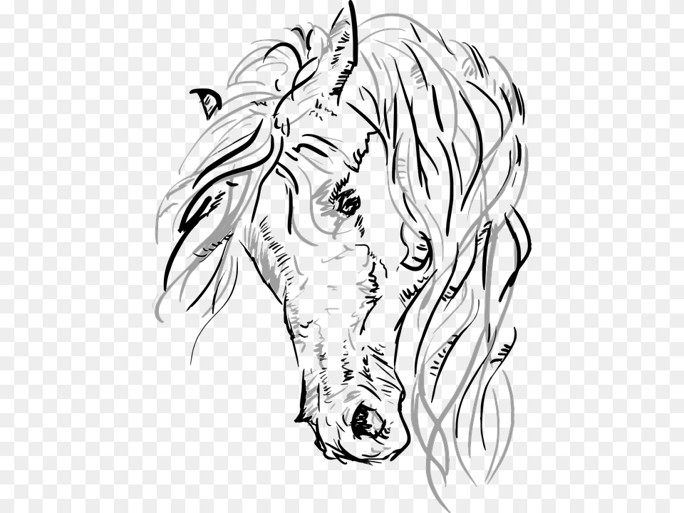 Vector Horse Horsehead Grayscale Sketch Transparent Horse Head Vector, Adult, Female, Person, Woman Png