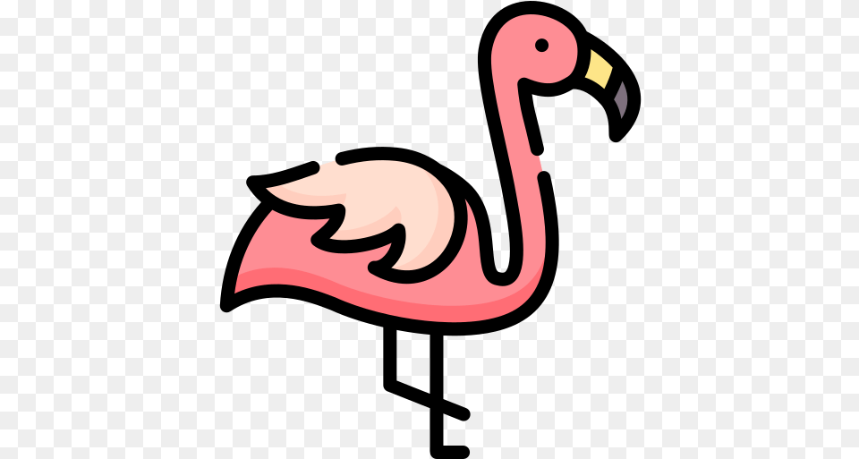 Vector Icons Designed Girly, Animal, Beak, Bird, Flamingo Png Image