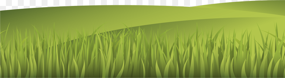 Vector Illustration Grass Landscape Paddy Field, Green, Plant, Vegetation, Lawn Free Png Download