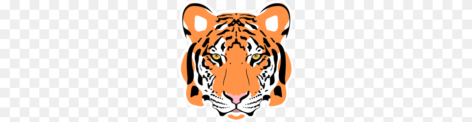 Vector Illustration Of A Tiger Head Sticker, Animal, Mammal, Wildlife, Baby Png Image