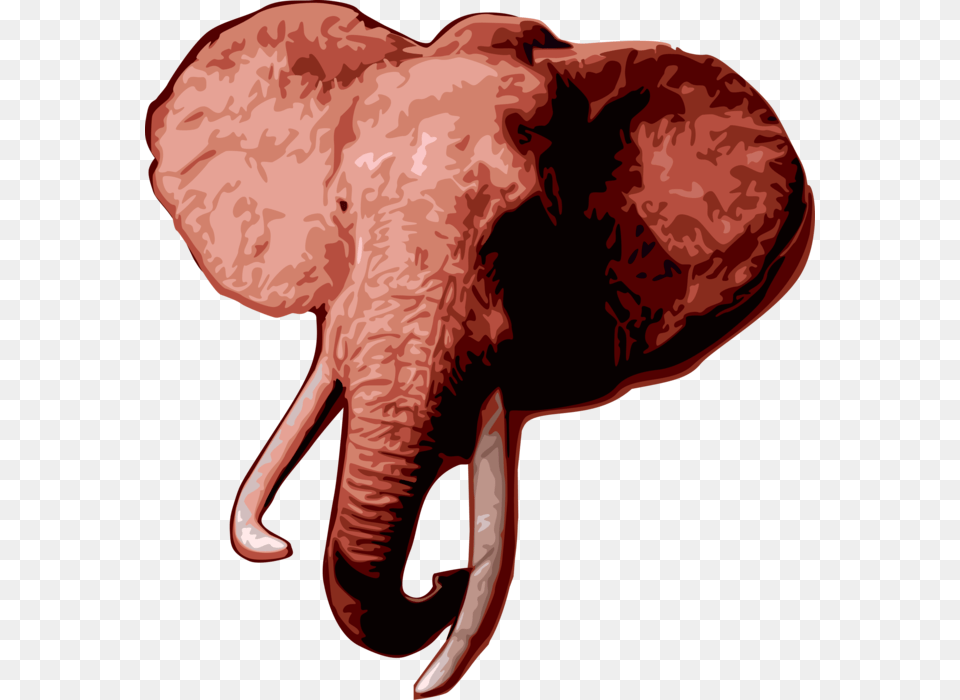 Vector Illustration Of African Elephant Head With Tusks Indian Elephant, Animal, Mammal, Wildlife, Person Free Png Download