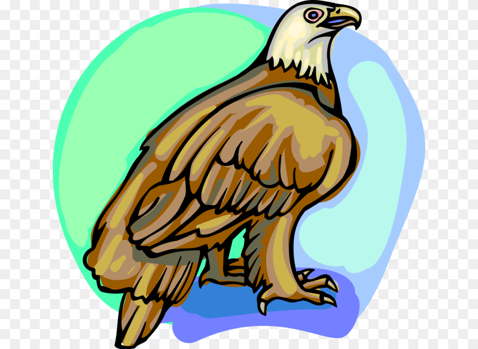 Vector Illustration Of American Bald Eagle National, Animal, Bird, Vulture, Person Free Png