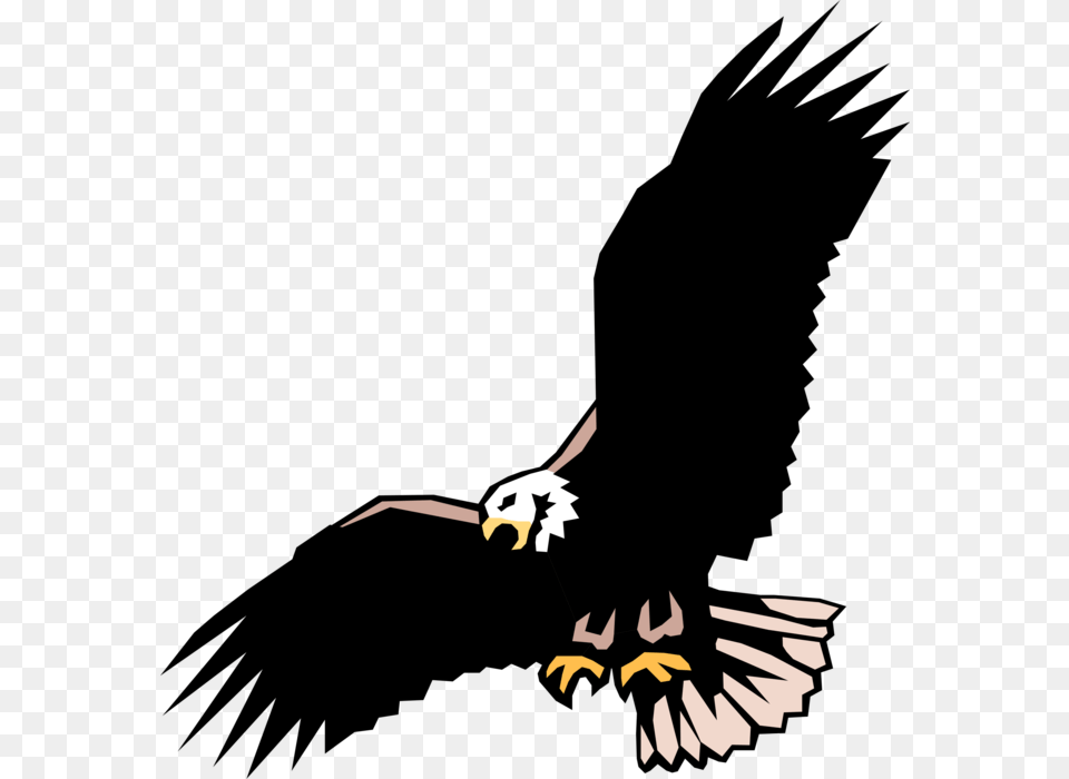 Vector Illustration Of American Bald Eagle National Adler, Animal, Bird, Flying Free Png