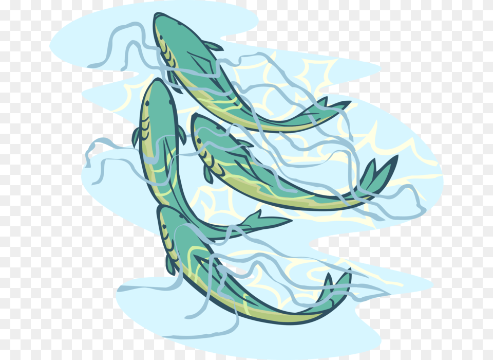 Vector Illustration Of Aquatic Carp Fish Swimming Together Japanese Carp Fish, Animal, Sea Life, Nature, Outdoors Free Png Download