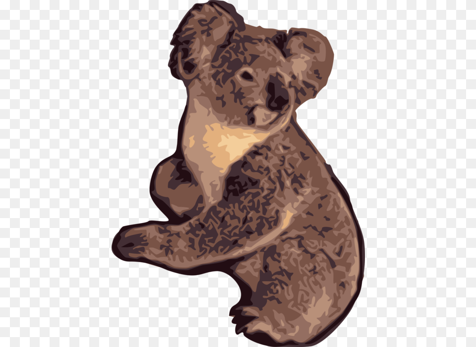 Vector Illustration Of Australian Arboreal Herbivorous Illustration, Animal, Mammal, Wildlife, Koala Free Png