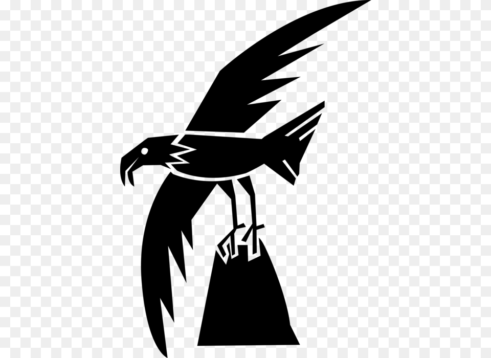 Vector Illustration Of Bald Eagle Predator Bird In Eagle, Gray Free Png Download