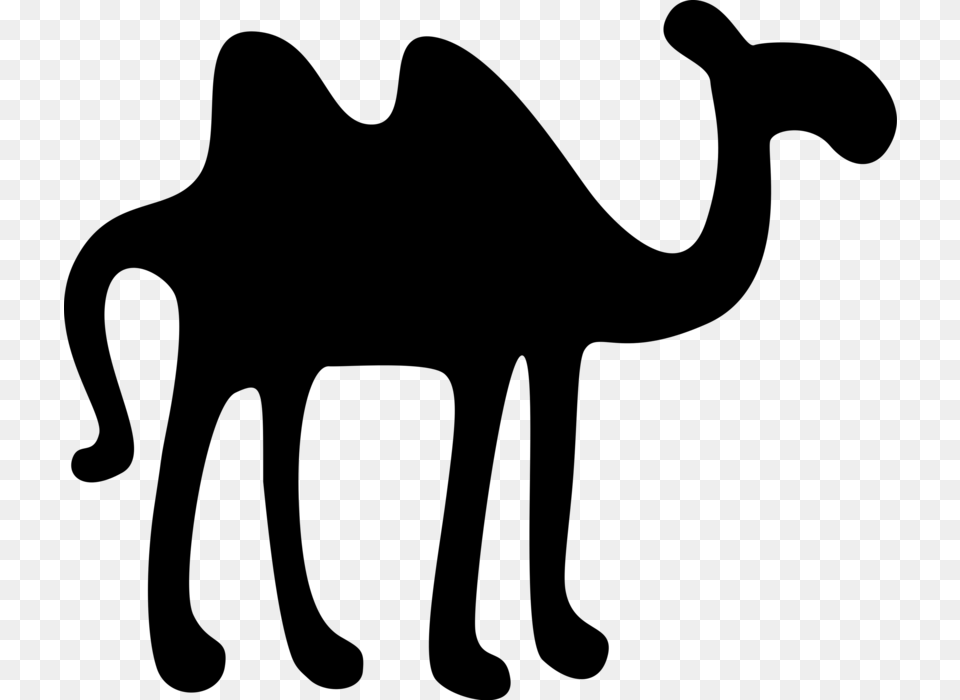 Vector Illustration Of Beast Of Burden Camel Dromedary Arabian Camel, Gray Free Png