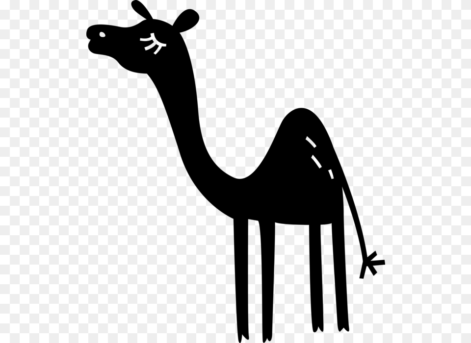 Vector Illustration Of Beast Of Burden Camel Dromedary Giraffe, Gray Png Image