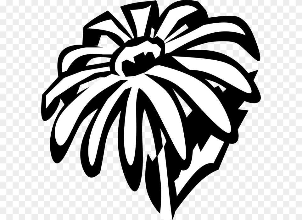 Vector Illustration Of Black Eyed Susan Botanical Flowering Clip Art, Daisy, Flower, Plant, Stencil Png Image